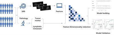 A Nomogram Based on Molecular Biomarkers and Radiomics to Predict Lymph Node Metastasis in Breast Cancer